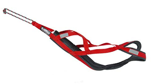 Neewa Pro Sled Dog Harness (Red, Medium)