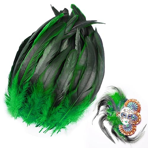 Ezydka 100 Stück Federn 20-25cm Hahnfedern, Federn Deko, Fasanenfeder, Federn zum Basteln, Naturfedern, Fasanenfedern, Bastelfedern, Federn Groß für Partymaskendekoration, Grüne