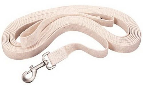 Weaver Leather Flat Cotton Lunge Line with Snap