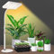 GroCruiser Desk Grow Lights for Indoor Plants, 200W Table Top Grow Light UV-IR Full Spectrum Plant Growing Lamp,16-24 Height Adjustable with On/Off Switch, Daisy Chain