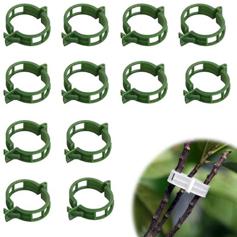 Pflanzenklammern Klein Pflanzen Clips wand,Gartenpflanze Clips zur Stabile Unterstützung und Befestigung von Pflanzen und Stengel,Pflanzenringe Kletter Gemüse Gewächshaus Clips Gartenwerkzeuge