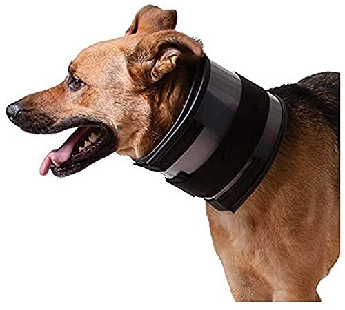 KVP - Necklace Bite Free