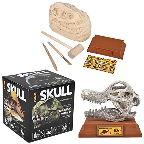 Rhode Island Novelty 6.5 Brachiosaurus Skull Excavation Kit, 1 Piece per Order