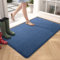 Color G Non-Slip Entrance Indoor Doormat 50 x 80 cm Absorbent Washable Door Mat for Indoor, Outdoor, Bedroom, Kitchen, Entrance, Hallway – Blue