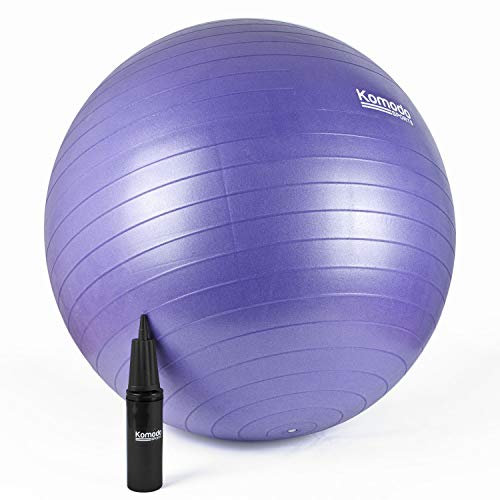TekBox KOMODO Exercise Ball for Yoga Pilates Fitness Pregnancy (65cm, Purple)