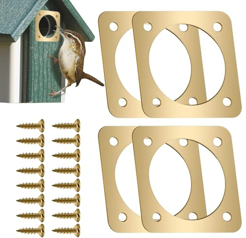 Casetta per uccelli, piastra di protezione in metallo, per nidificazione, protezione per passeri e picchi con vite, robusta protezione per fori per esterni Bluebird