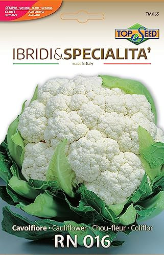 CHOU-FLEUR RN016 F1 Le meilleur de la graine pour les meilleurs producteurs - NO OGM - Très haute germinabilité (0.5 grammes)