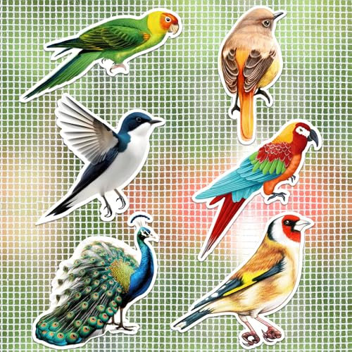 JSRQT 12 Stück Fliegengitter Magnete Dekorative Kolibri Pfau Fliegengitter Reparatur Magnet Doppelseitige Fliegengittertüren Magnete für Durchlaufschutz Reparaturset Fliegengitter Aufkleber