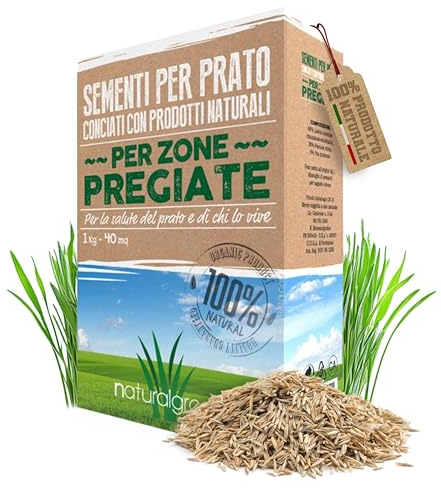 B4Green Semi Prato Inglese Professionale (40m²) per Giardino di Pregio