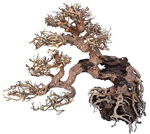 Amtra Bois Oriental pour Aquariophilie Wind 7, 1 Unité (Lot de 1)