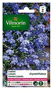 Vilmorin - Lobelia Crystal Palace Bleu