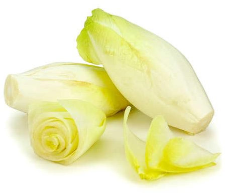 250 Endive Seeds Semi-Early - SemiSauvage Permaculture