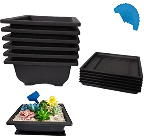 XIAONAN Plastic Plant Pots Indoor 6PCS 8.8in Rectangle Plant Flower Pot with Trays and 15Pcs Plant Labels,Indoor/Outdoor Small Plastic Plants Growing Pot Durable Garden Flower Plant Container