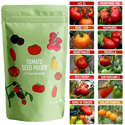Scott&Co. Tomato Seed Starter Kit, 10 Varieties to Grow Your Own. Indoor and Outdoor Planting. Moneymaker, Golden Queen, Red Cherry, Tigerella and More Tomato Seeds, Gardening Gifts for Women and Men