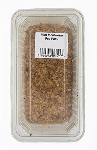 Livefoods4u Live Mini Mealworms 40g Tub (10-15mm) - Live Food for Reptiles and Garden Birds
