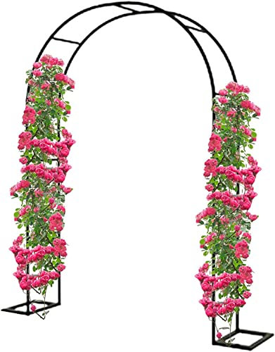 Arche Jardin pour Rosiers Plantes Grimpantes, Metal Arceau à Rosiers, Arche de Rosiers Vigne Mariage, Pergola Tonnelle de Jardin, Intérieur Extérieur Décoration de Fête,300x220x40CM