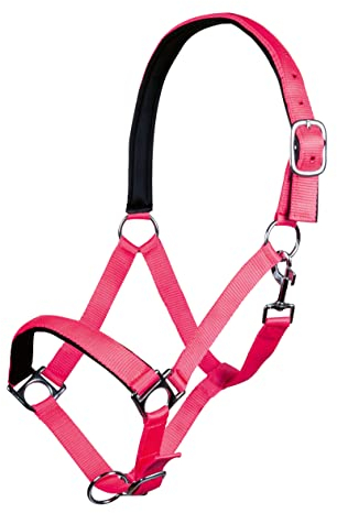 HKM 27858045.0618 Halfter -Stars Softice-, weich unterlegt Pony, Neon pink