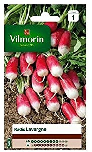 Vilmorin - Radis Pernot Lavergne