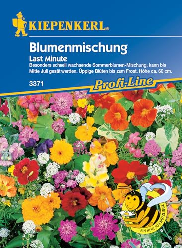 Kiepenkerl Profi-Line Blumensamen-Mischung Last Minute 3371 – Besonders schnell wachsende Sommerblumen-Mischung - Höhe ca. 60 cm - Inhalt für 4 qm - Blumenwiese samen, Saatgut,