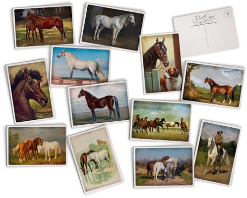 Hill Valley Greetings Vintage Horses Postcards - 24 Vintage Postcards - 12 Assorted Retro Horse Prints - Printed on Antique Textured Style Cardstock