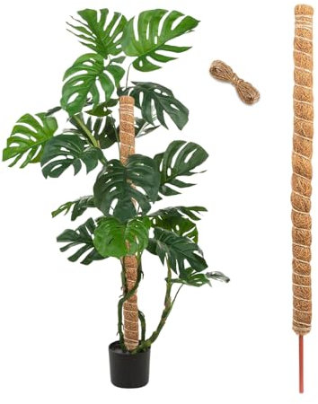Bieiyhe Kokosstab Monstera 120 cm,Rankstab Monstera,Moosstab Monstera,Kokos Pflanzstab Monstera Stab,Biegbare Monstera Rankhilfe,Biegsame MoosstäBe FüR Pflanzen,Verwenden Sie Rankhilfe Zimmerpflanzen