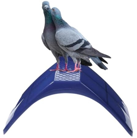 Percha De Palomas , Segura, Confortable y Sencilla Instalación