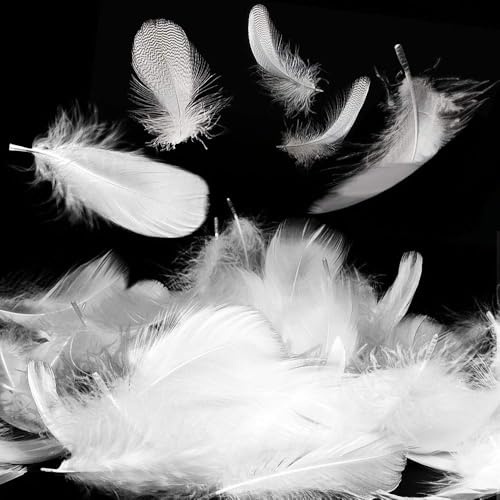 HUATEEN White Feathers,200 PCS Feathers for Crafts Natural Goose Feathers Decorations Feathers for DIY Dream Catchers Hats Costume Millinery Home Party Decor Wedding Decorations 5-8CM