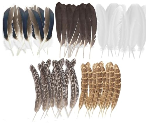 50 Pcs Craft Feathers Decorations, Brown Pheasant Feathers, Speckled Craft Feathers, Natural Pheasant Feathers for Crafting Hat Floral DIY Home Party Wedding Performance Supplies