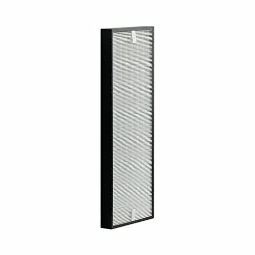 Rowenta Filtre HEPA XL Allergy purificateur d'air Intense Pure Air PU6020 PU6080