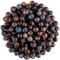 Juniper Whole Berry Organic Tea - Juicy and Large - Carefully Dried Berries - Juniper Berries Tea Juniper Berry Tea Juniper Berries Organic 200g