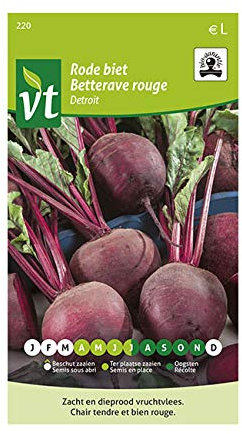 Betterave rouge Detroit Bio Graines - Betterave rouge de forme ronde, bien colorée