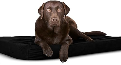 Sapphire Collection Waterproof Orthopedic Dog & Cat Bed, Rectangular Mat, Large (108 x 72 x 5cm), Black, Polyester Fiber & Fabric, Machine Washable Cover