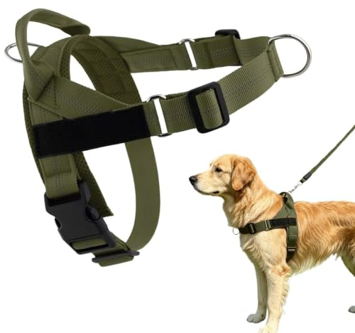 Paropet No Pull Dog Harness, No Pull Pet Walking Vest With Secure Buckle Design | Breathable Mesh, Front Chest Leash Attachment For Training. Ideal For Medium Large Dogs, Daily Walking, Travel.