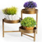 Harvest Land Pflanzenständer 25cm Hoch 3Tier Bonsai Blumentreppen Blumenregal Metall Pflanzenregal Blumenständer Standregal für Garten Balkon Deko Bronze