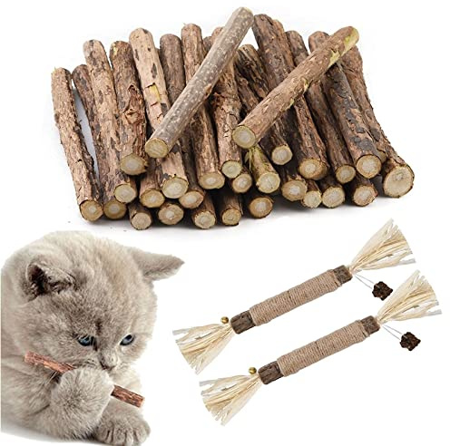 Butyeak Bâtonnets à Mâcher Matatabi, Jouets molaires de Chat en Bois Naturel, Herbe à Chat pour grincer des Dents(30+2) Pièces