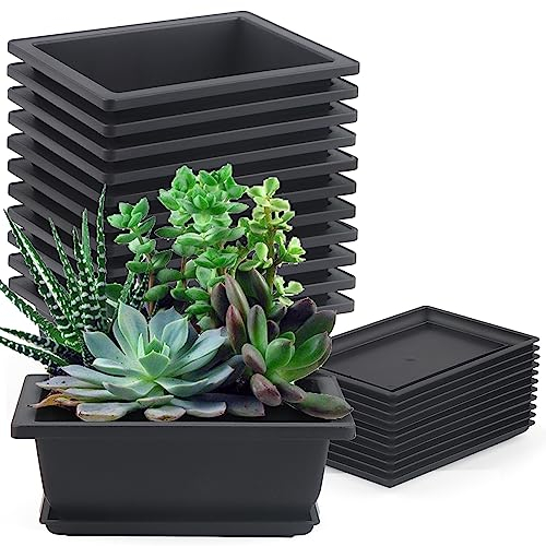 MUKCHAP 12 PCS 6.5 x 4.7 x 2.4 Inch Plastic Bonsai Training Pots, 16.5 x 12 x 6cm Bonsai Planter Pots with Tray, Rectangle Plant Pot for Garden, Balcony