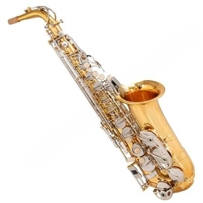 Professionell Saxofon Professionell Scenframträdande EB ton Altsaxofon Med Nickelklaver I Mässing
