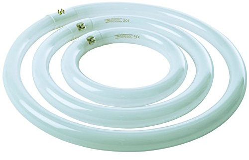 Lamp circ trifosf G10q 32W dl