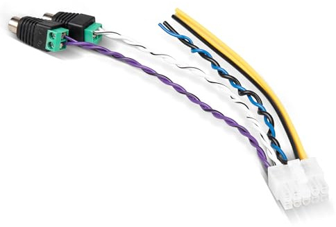 NuIth Prise de faisceau d'alimentation 10 broches pour Pioneer TS-WX1210A TS-WX1010A TS-WX300A TS-WX300TA - Câble d'entrée RCA haut niveau pour caisson de basses