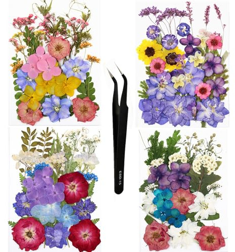 Huimai 128 Stück Lila Getrocknete Blumen Natürliche Gepresste Getrocknete Blumen für Harz, DIY Kerzen, Anhänger, Handyhüllen, Fotorahmen, Bath Bombs (128)
