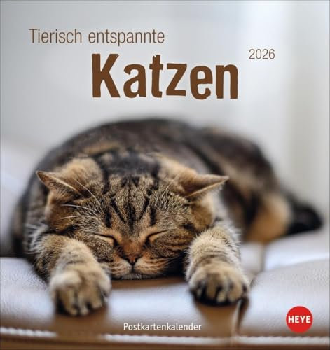 Tierisch entspannte Katzen Postkartenkalender 2026: Witzige Fotos verschlafener Stubentiger in einem Tischkalender zum Aufstellen oder Aufhängen. ... für Katzenfans. (Postkartenkalender Heye)