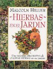 Hierbas en el jardin