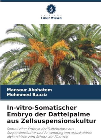 In-vitro-Somatischer Embryo der Dattelpalme aus Zellsuspensionskultur: Somatischer Embryo der Dattelpalme aus Suspensionskultur und Anwendung von arbuskulären Mykorrhizen zum Schutz von Pflanzen