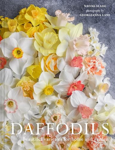 Daffodils: The ultimate guide for growing, flowering and cutting beautiful narcissi varieties for daffodils at home and in the garden