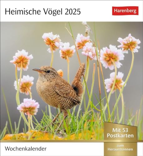 Calendrier 2025 - Calendrier hebdomadaire avec 53 cartes postales : calendrier hebdomadaire au format carte postale avec portraits d'oiseaux. Calendrier de table avec... de nouvelles cartes postales à