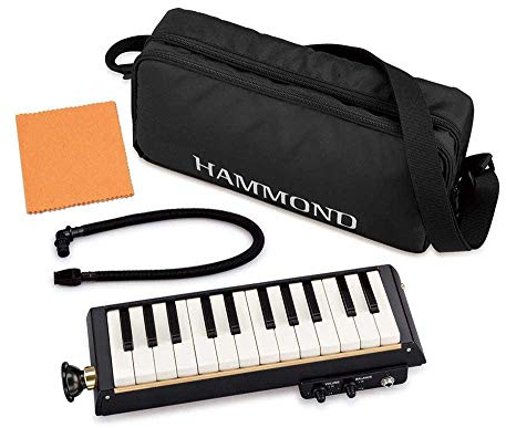 Hammond Melodion BB bass melodica