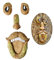 Molyorch Old Man Baum Gesicht, Garten Peeker, Alte Mann Gesicht Skulptur, Baumgesichter Gartendeko, Lustige Baum Gesicht, für Gartendekoration, Themenaktivitäten, Feiertagsparty