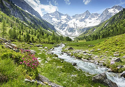 wandmotiv24 Fototapete Berge Alpen Wiese Bach, M 250 x 175 cm - 5 Teile, Wanddeko, Wandbild, Wandtapete, Wasser Schnee Wald Bäume Gras M6751