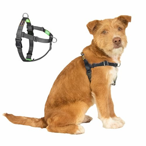 APDEXY Freedom No Pull Dog Harness for Medium Dogs, Easy Walker, Anti Pulling with Two Stainless D-Rings, Comfortable, Sewn-in Instructions Tags for Easy Use (Black, M)