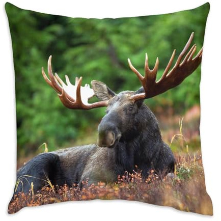 Fabulous Vit sammetskudde - älg i en vacker äng vild naturträ - 40 x 40 cm - touch av sammet - överdrag och kudde ingår